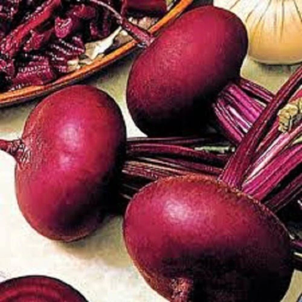 SEEDVILLE USA 250 PIATTA D'EGITTO BEET Italian Heirloom Beta Vulgaris Cicla Vegetable Seeds