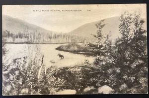 RAR! Vintage Postkarte Maine Katahdin Region Kunst Stier Elch Illustration ME - Bild 1 von 5