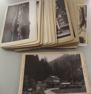 (40+) Sachs. Schweiz Germany Rommler & Johnas Cabinet Card Prints - Picture 1 of 9