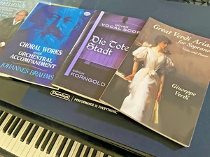 Klassische VOKALMUSIK Riesiges LOT für Sänger SCHUBERT BRAHMS VERDI Mehr! NEUWERTIG - Bild 1 von 16