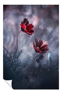 Rote Blumen Blumen Garten Bokeh Künstlerisches Poster Wandbild Wohndeko - Bild 1 von 4