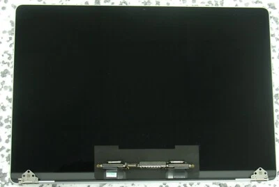 16" Display original Bildschirm Apple Macbook pro A2141 grey grau 2019 EMC 3347 - Bild 1 von 2