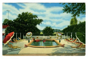 Mt. vintage 1952 CARTOLINA VERNON MOTEL Ocala FLORIDA cromata! Piscina! - Foto 1 di 2