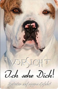 American BULLDOG - A4 Metall Warnschild Türschild SCHILD Hundeschild - AMB 13 T5 - Bild 1 von 2