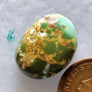 14.4ct,Royston Turquoise Cabochon Gemstone! Stunning Dramatic Natural Beauty!! - Picture 1 of 4
