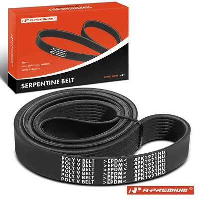 Cinturón serpentino de alta resistencia A-Premium 77,58" para cosechadora internacional Thomas Foto 1 de 4
