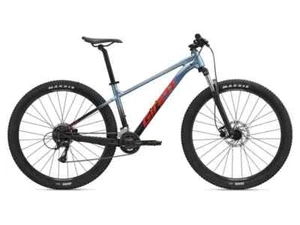 Giant Talon 3 29 Mountain Bike In Gloss Frost Silver In X Large - Picture 1 of 1