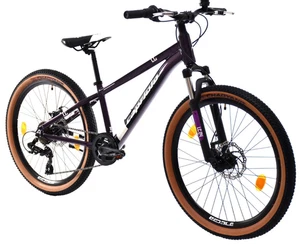 breluxx® 24 Zoll ALU Mountainbike Capriolo LC240 2D FS, Shimano 7G- blau purple - Bild 1 von 12