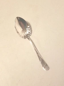 Vtg Holmes & Edwards XIV Silverplated Shell Serving Spoon 9” Engraved w/Roses - Picture 1 of 9
