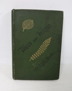 1879 2nd Edition TREES And FERNS Book By F G Heath HB Illustrated Intact Inscrip - Picture 1 of 12