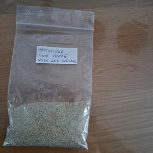 Sand Insel Martinique Frankreich Ort Saint Anne Strand Anse les Salines - Bild 1 von 1