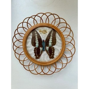 Posavasos acrílicos tejidos de bambú flor silvestre mariposa prensada vintage - Imagen 1 de 3