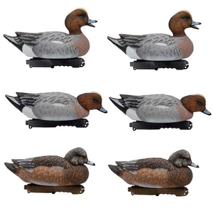 Eurasian Wigeon Duck Decoys - 6 Pack - Picture 1 of 4