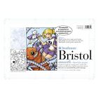 Tapis de dessin Strathmore 200 série Bristol, 11 x 17 pouces, 100 lb, 24 feuilles