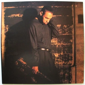 JOSHUA REDMAN   1993  (2) Promotional Poster Flats    Warner Bros - Picture 1 of 4