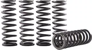 Hinson Racing Hi-Temp Clutch Spring Kit-Yamaha-YZ 250-93-25 - Bild 1 von 1