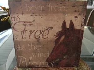 Canvas Print HORSE Equestrian BORN FREE Excellent Used - Picture 1 of 4
