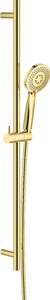 Deante Arnika Duschgarnitur Gold 3 Funktionen Duschstange Set NQA-Z51K - Bild 1 von 1