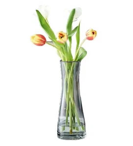 10 inch Clear Glass Flower Vases for Home Centerpiece Table Indoor Desk Decor... - Picture 1 of 8