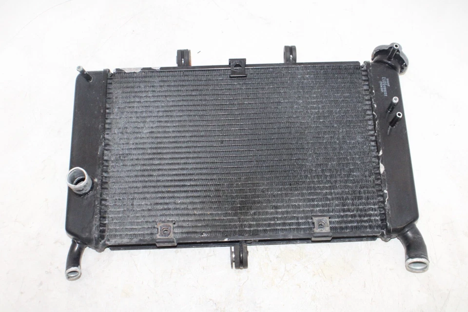 09-17 YAMAHA FZ6R OEM MOTOR RADIADOR MOTOR ENFRIADOR RADIADOR DE REFRIGERACIÓN Foto 1 de 4