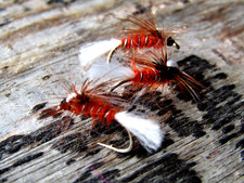 IFS Crippled Midge Fiery Brown Dry Fly Irish Lough flies x 3 size 12