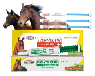Pyrantel Paste Wormkiller for Horses Parasitic Infection Treatment - 23.6g/6g*3 - Bild 1 von 4