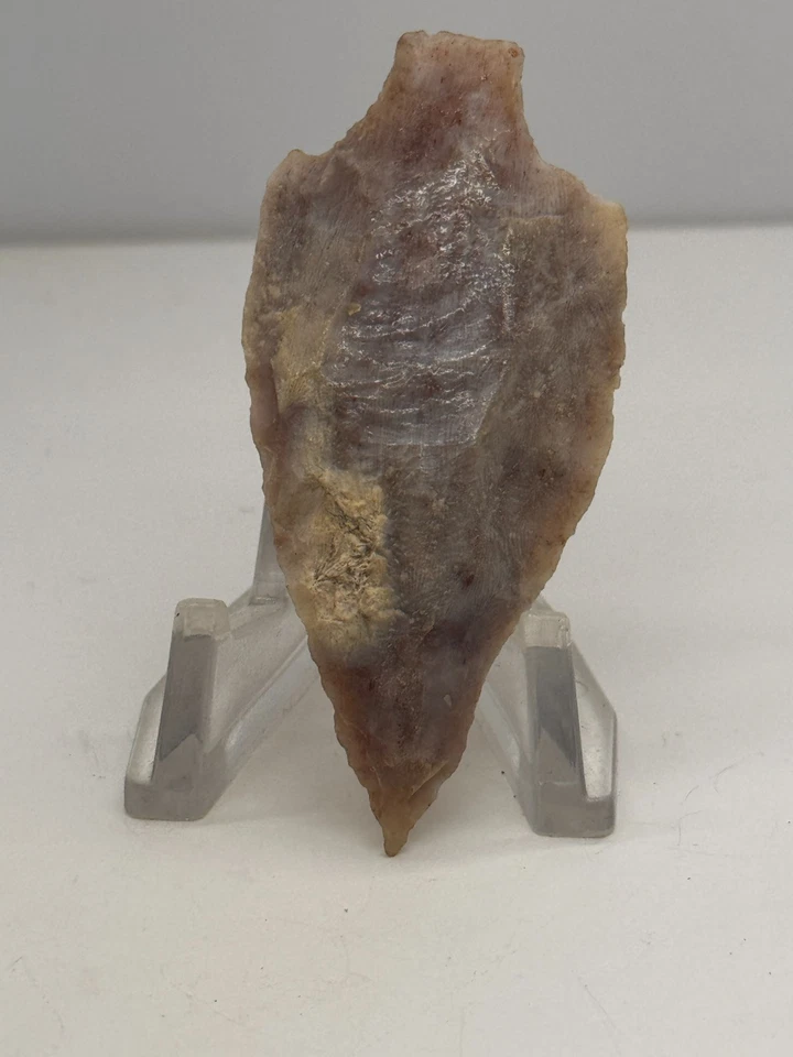 正品美洲原住民佛罗里达切特箭头 2.75 英寸埃尔南多点 — 第 1/3 张图片