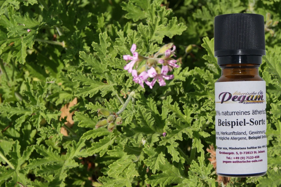 PEGAM ÄTHERISCHE ÖLE 100% naturreines ätherisches Geraniumöl, Pelargonium graveolens, Ägypten, 5 ml