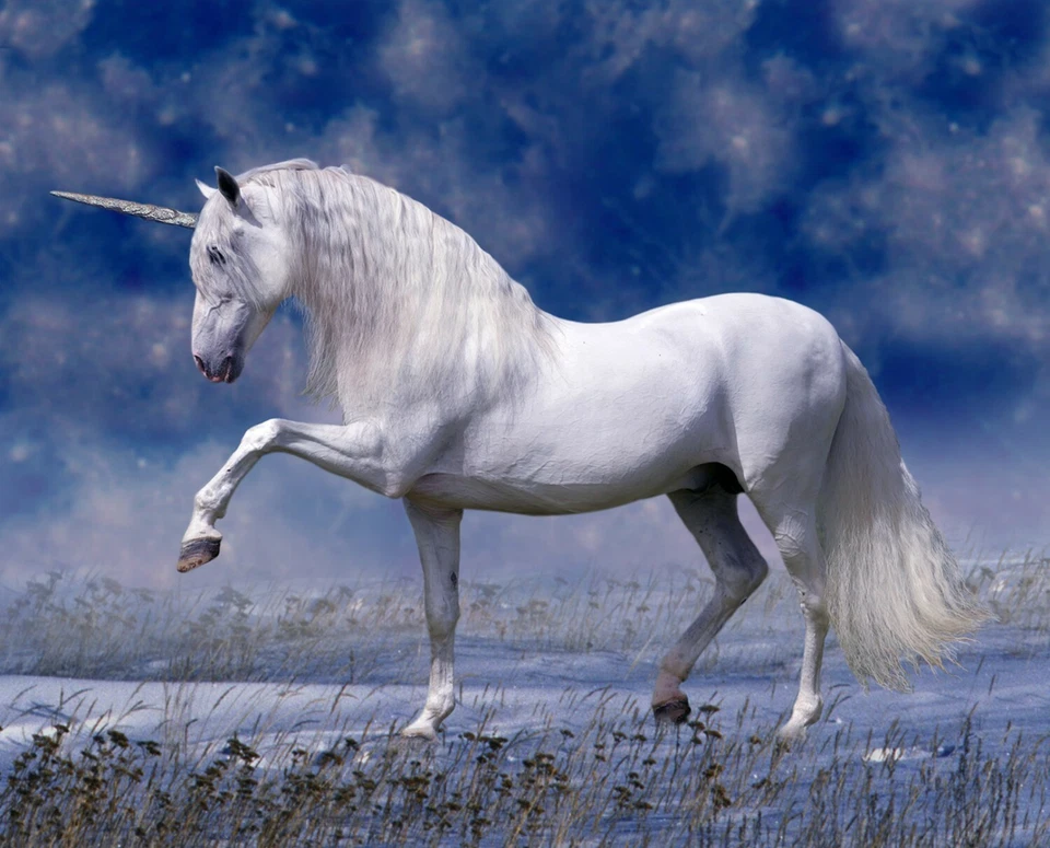 White Unicorn At Night Digital 36in x 45in Panel Cotton Fabric - Image 1 of 1