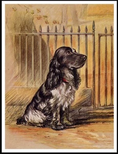 COCKER SPANIEL SAT BY GATE LOVELY VINTAGE STYLE DOG ART PRINT POSTER - Picture 1 of 1
