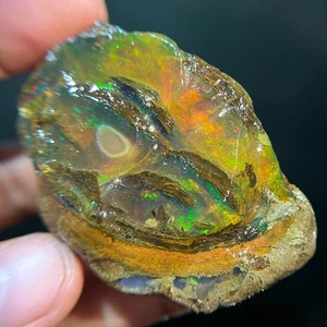 Opal Rough Incredible Natural Ethiopian 230 Carat Welo Multi Fire Opal Gemstone - Picture 1 of 10