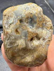 Indiana Ohio River Glacier Erratic Beach Polished Agate 1,115 Carats - Picture 1 of 5
