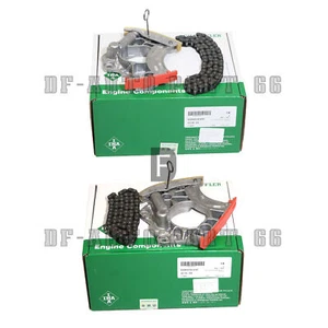 INA Timing Chain Tensioner KIT For Audi A6 A8 Q5 Q7 Touareg 3.0T 06E109217AH 218 - Picture 1 of 5