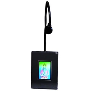 3D HoloBabe Stereogram 3D Hologram Picture LIGHTED DESK STAND Embossed Type Film - Picture 1 of 7
