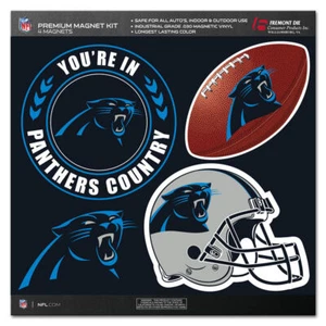 Carolina Panthers Magnet Kit 4 Piece CO - Picture 1 of 1