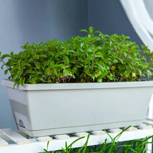 Flower Pot Decorations Planter Nursery Pots Window Planter Box Succulent Pots - Picture 1 of 12