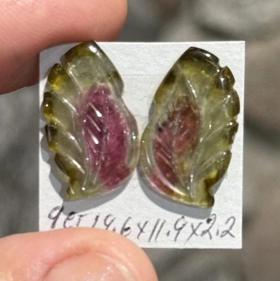 9ct 19.6x11.9x2.2mm Pair Carved Watermelon Leaves Tourmaline Cabochon Gems - Image 1 of 4