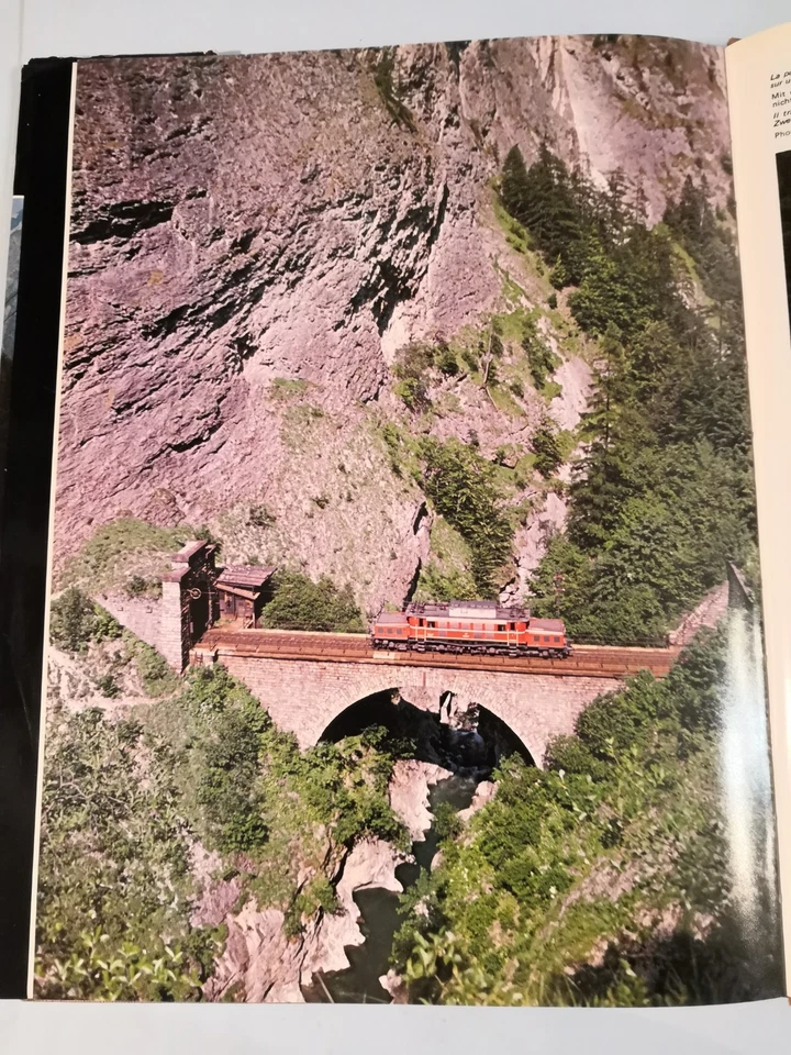 Ferrovie e Treni nelle Alpi - I Colori delle Ferrovie e dei Treni nelle Alpi - - Immagine 1 di 4