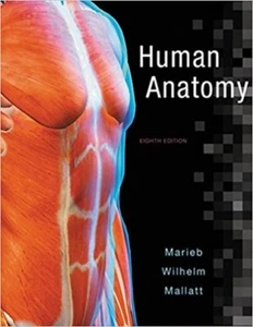Human Anatomy 8e Global Edition - Picture 1 of 2