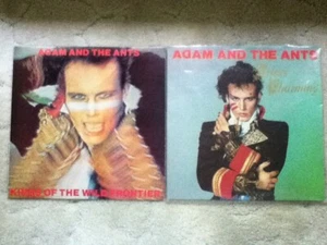Adam and the Ants 12" lps, 7" singles, fan club books and poster - Picture 1 of 4
