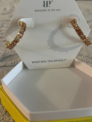 Pendientes Bomb Party RBP8823 “Un Hermoso Propósito” Topacio Ahumado Oscuro Circonita cúbica Foto 1 de 4