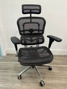EuroTech Chair ME7ERG Ergohuman High All Mesh - Picture 1 of 3