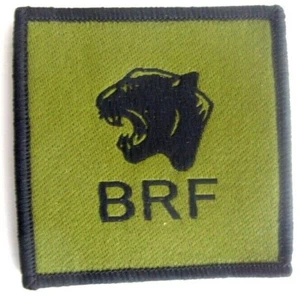 19 BRIGADE BRF  OLIVE TRF ARM BADGE - BRITISH ARMY UK  DZ FOR MTP KIT - Picture 1 of 2