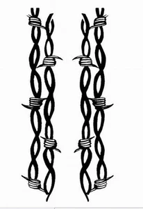 HOOD STRIPE #33 BARB WIRE SET VINYL GRAPHIC DECAL VEHICLE CAR TRUCK VAN SUV - Bild 1 von 3