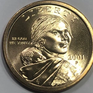 2001 P - Native American Golden Dollar Coin - Picture 1 of 2
