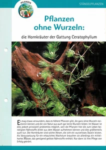 Die Hornkräuter der Gattung Ceratophyllum / Aquariuminfokarte - Bild 1 von 1