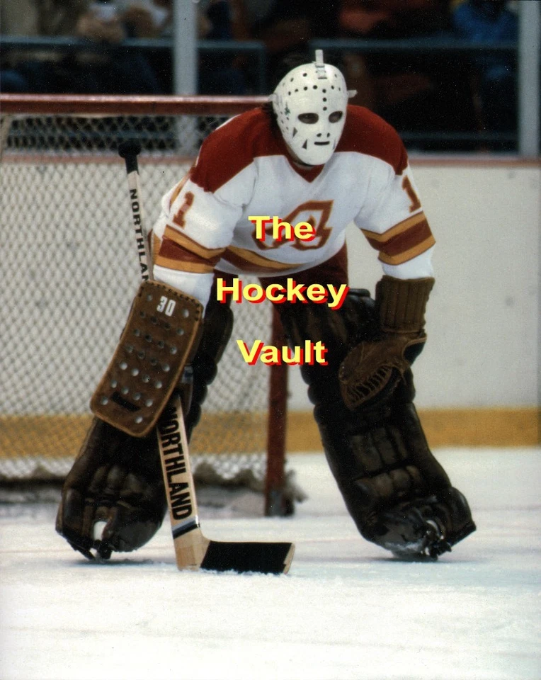 Atlanta Flames Jim CRAIG #1 Custom LAB Action 8X10 ¡Famosa MEDALLA DE ORO OIlímpica!!! Foto 1 de 1