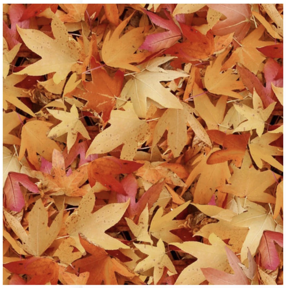 Tela de algodón tostado hojas de otoño Natural Treasures II acolchado en blanco por yarda Foto 1 de 1