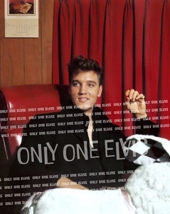 1960 ELVIS PRESLEY at GRACELAND (8x10 PHOTO) "IN HIS OFFICE" 002 - Picture 1 of 1