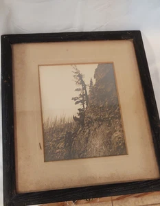 Lg Orig Antik Foto 1905 Wm. Hornaday John M. Phillips Canadian Rockies - LESEN - Bild 1 von 6